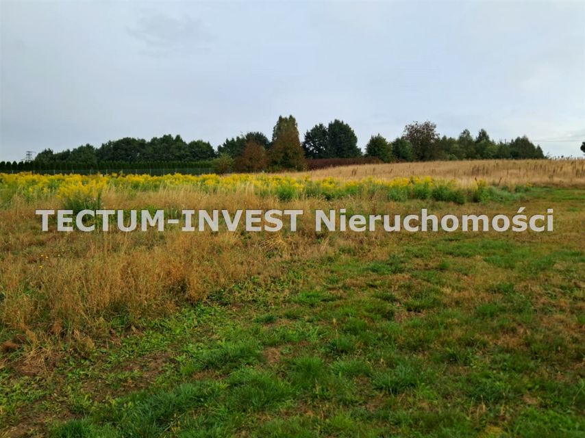 Działka budowlana Wodzisław Śląski