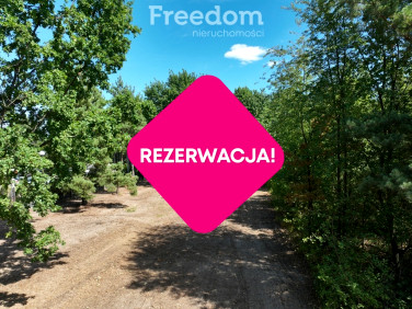 Działka Wiązowna