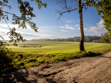Działka budowlana Skrzynki sprzedam
