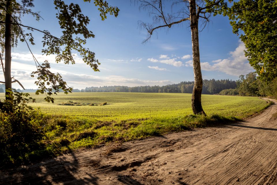 Działka budowlana Skrzynki sprzedam