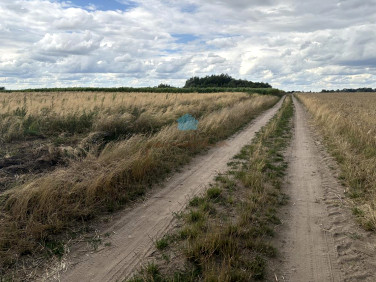 Działka Łubowo