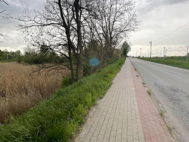 Działka Gniezno