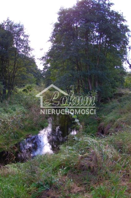 Działka Jatki