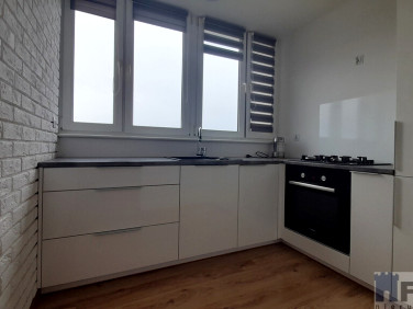 Mieszkanie Szczecin wynajem