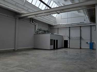 Lokal Wrocław