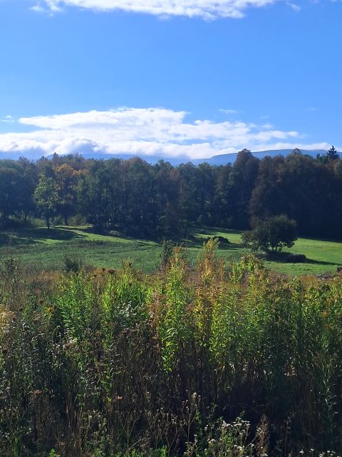 Działka budowlana Staniszów