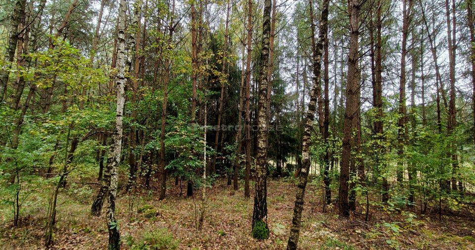 Działka nad rzeką