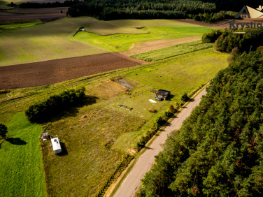 Działka przy lesie