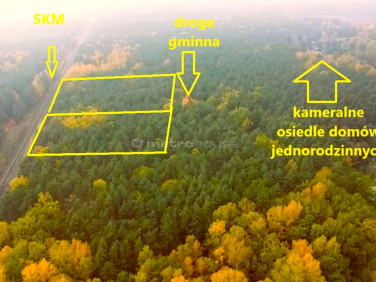 Działka leśna Wólka Radzymińska