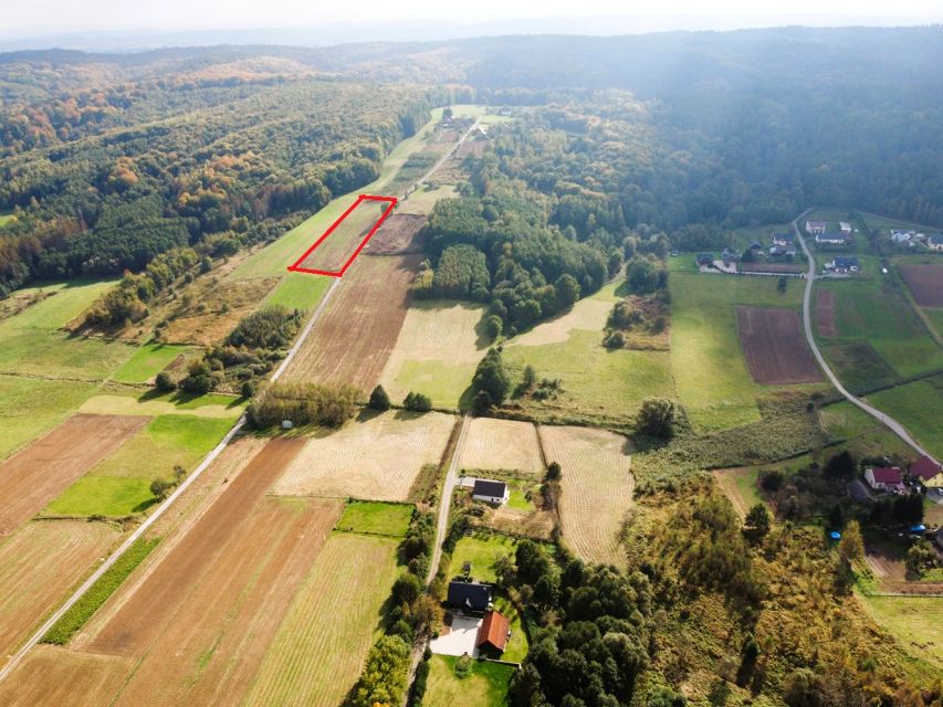 Działka Sieklówka