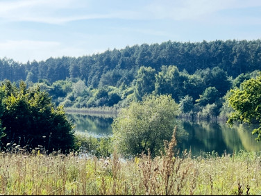 Działka rolna Kołczewo