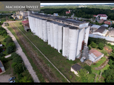 Lokal Świecie