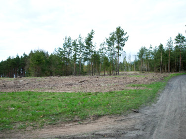 Działka nad jeziorem