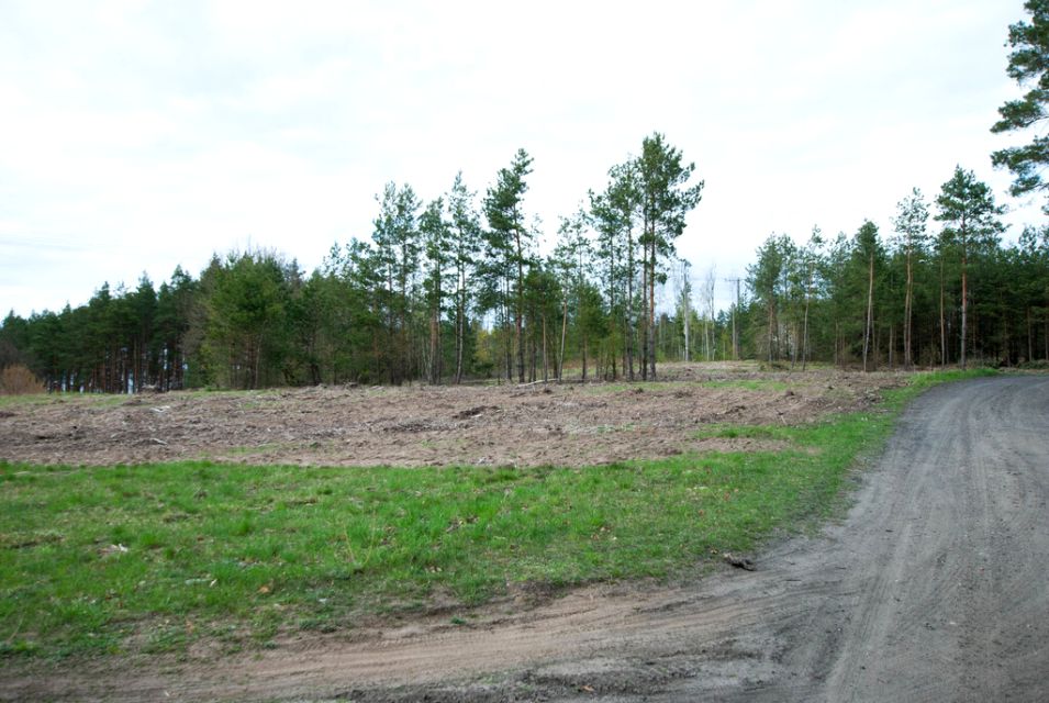 Działka nad jeziorem