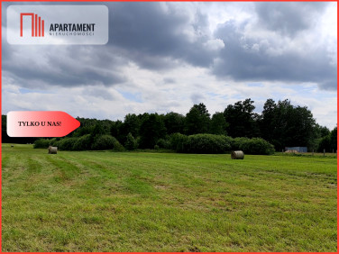Działka przy lesie