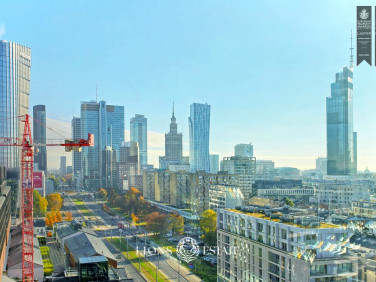 Lokal Warszawa