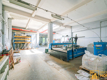 Lokal Opole