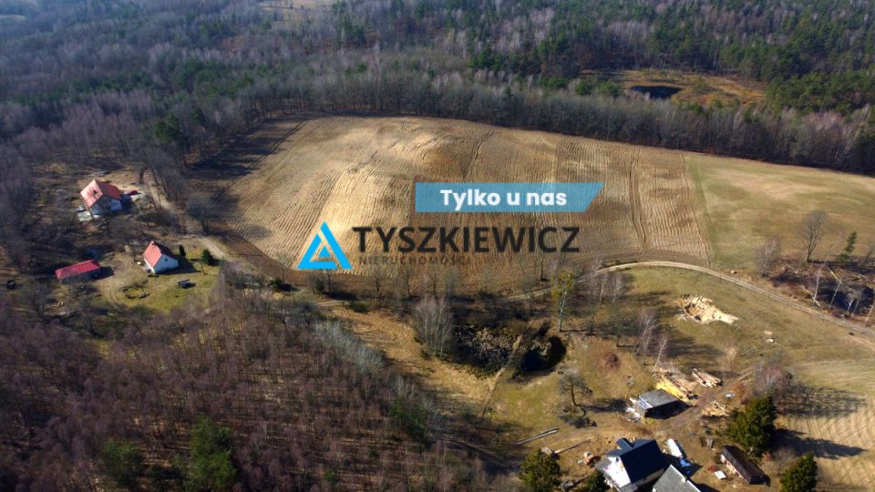 Działka przy lesie