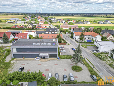 Lokal Opole