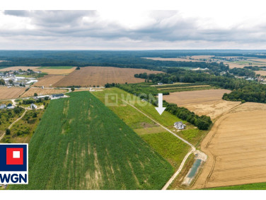 Działka Połchowo
