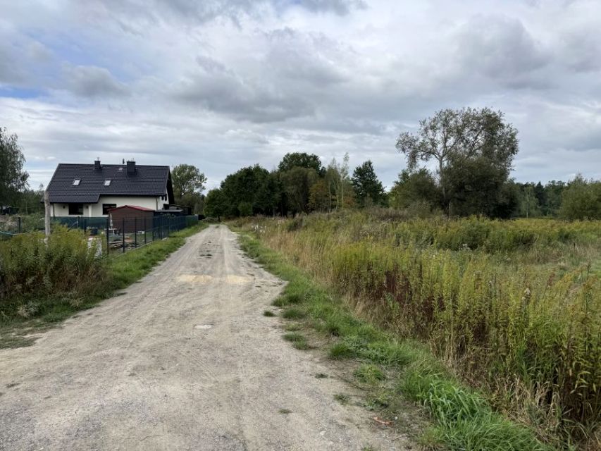 Zdjęcie 2