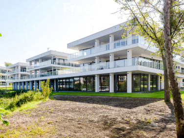 Lokal Iława sprzedaż