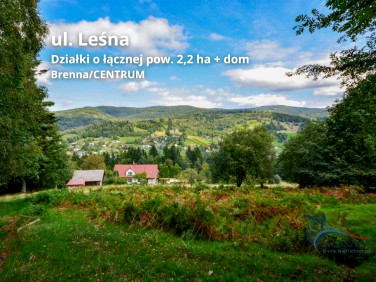 Działka Brenna
