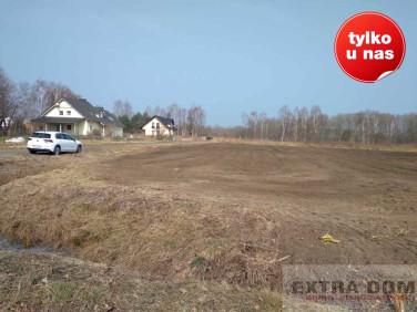 Działka Żółwia Błoć