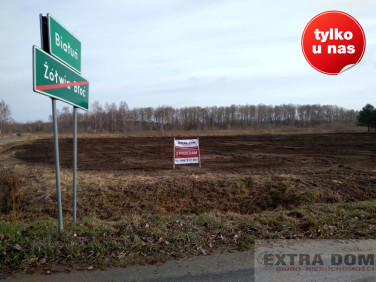 Działka budowlana Żółwia Błoć
