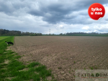 Działka rolna Dębice
