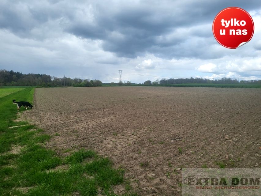Działka rolna Dębice