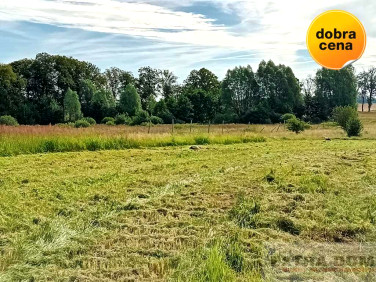 Działka Jenikowo