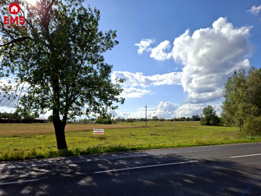 Działka inwestycyjna Kuriany