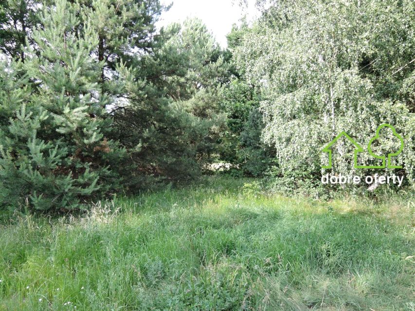 Działka Nieporęt