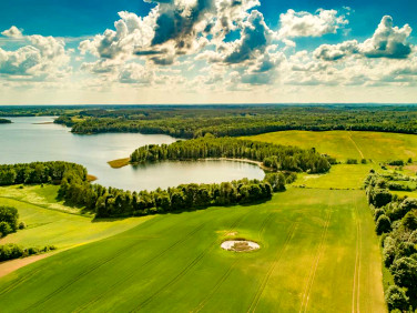 Działka Tejstymy