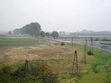 Działka inwestycyjna Kórnik