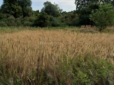 Działka Gruszczyn