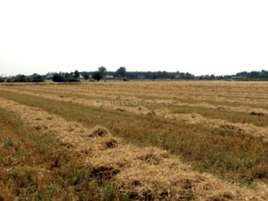 Działka inwestycyjna Chomęcice
