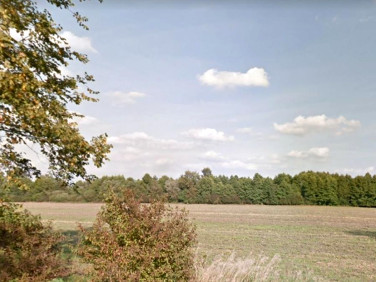 Działka nad jeziorem