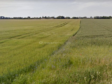 Działka inwestycyjna Środa Wielkopolska
