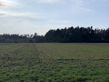 Działka rolna Pątnów Legnicki