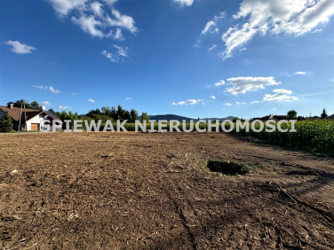 Działka Jasienica