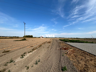 Działka Ożarów Mazowiecki