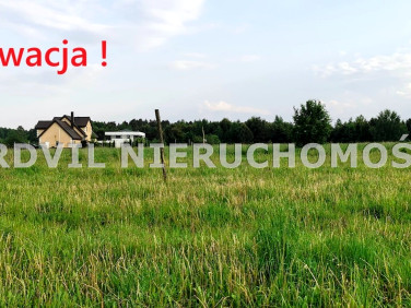 Pusta działka Skrybicze