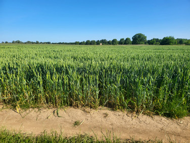 Działka inna Dobrzyków