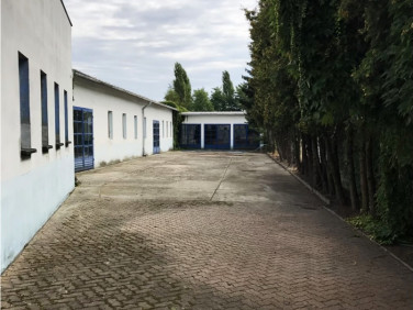 Lokal Kalisz