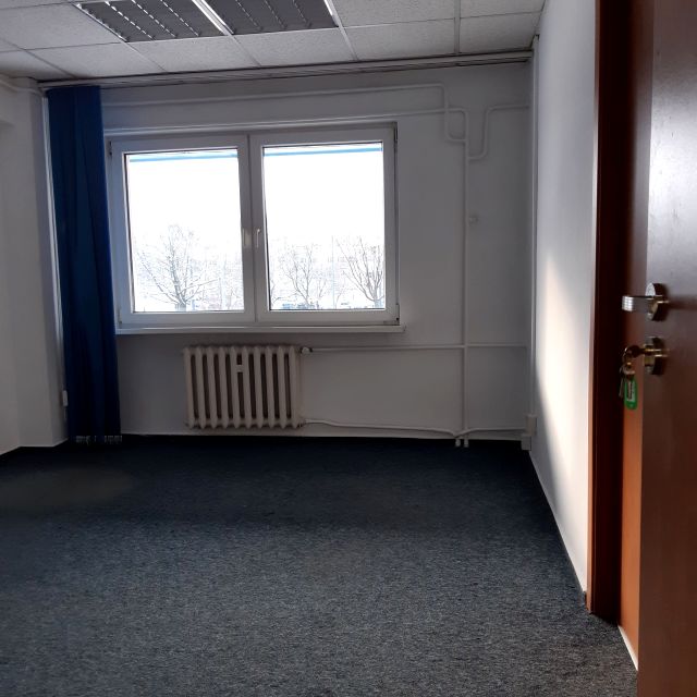 Lokal Warszawa wynajem