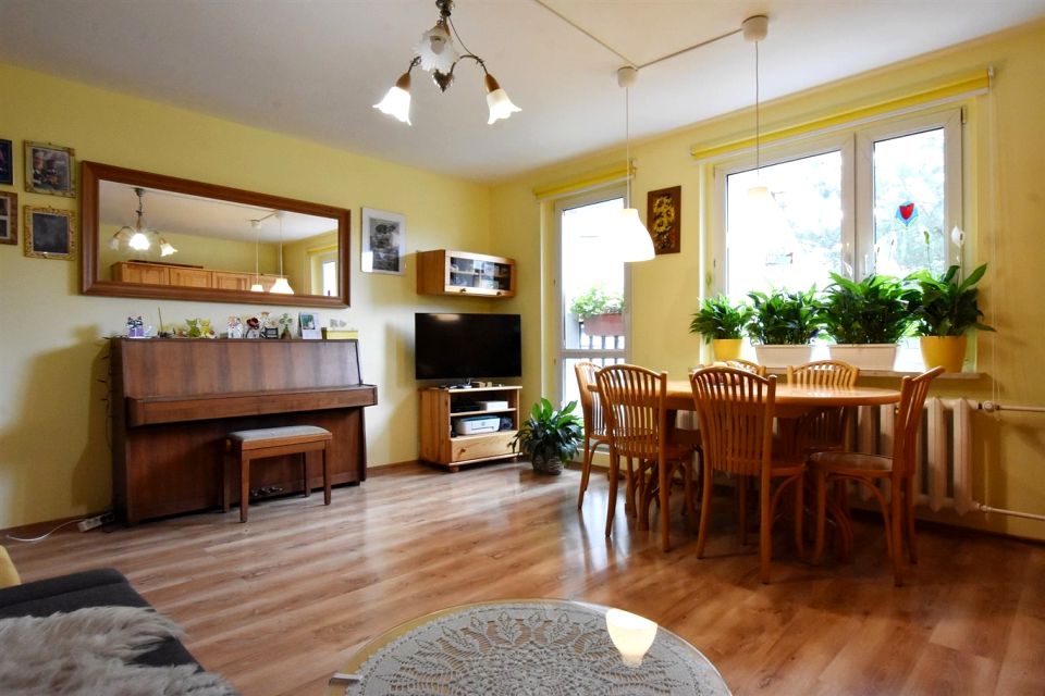 Mieszkanie Katowice sprzedaż