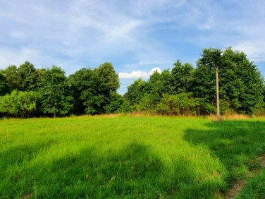 Działka budowlana Korfowe