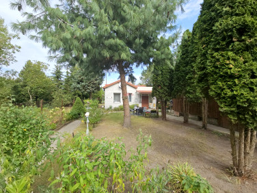 Dom Płochocin